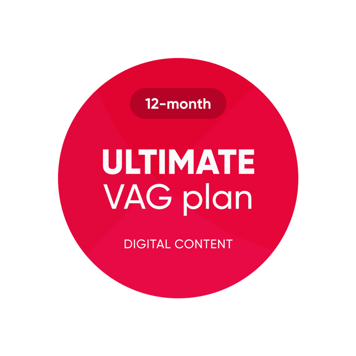 OBDeleven | Ultimate VAG Plan | Licencja oprogramowania
